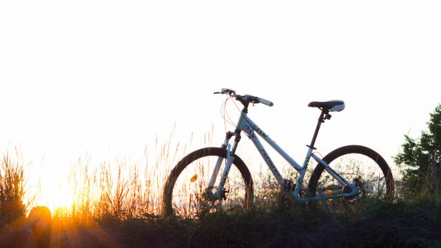 a bike on a  grassy path at sunset