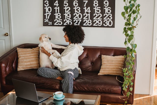 a person sitting in a brown couch playing with a small white dog