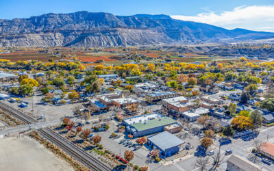 Palisade Peach Festival and Real Estate: Why Harvest Season Is the Best Time to Buy in Wine Country