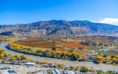 Why Palisade is Attracting Relocators: Wine Country Living and Real Estate Trends