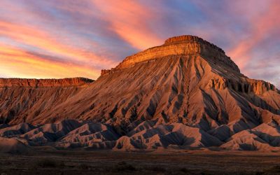 About Us-Working With The Best Local Realtor